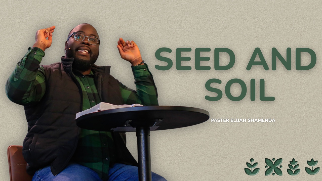 Seed And Soil